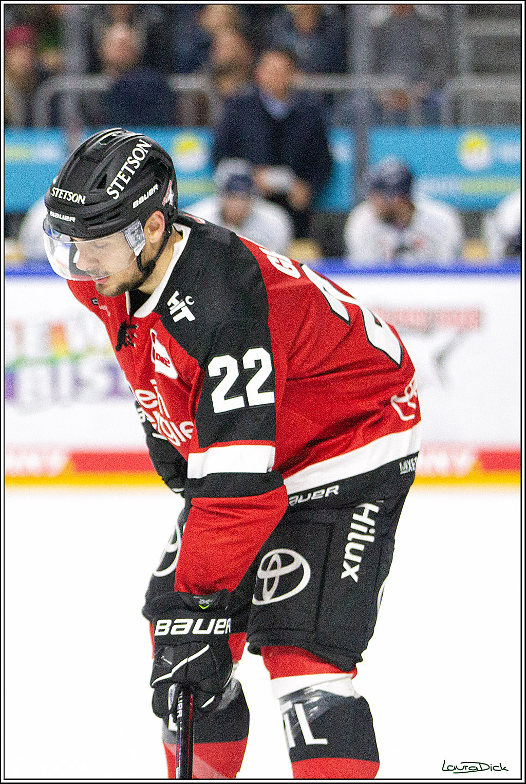 PENNY DEL;  Koelner Haie - Straubing Tigers; Koeln, 15.10.2021